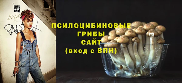 герыч Пестово